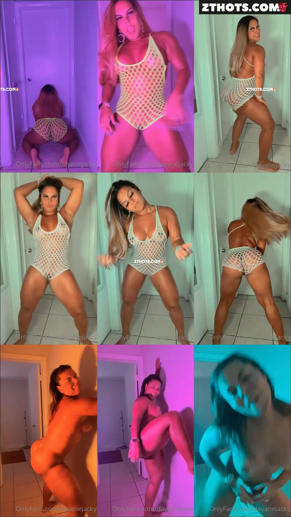 Dayanejacky Fishnet Colors