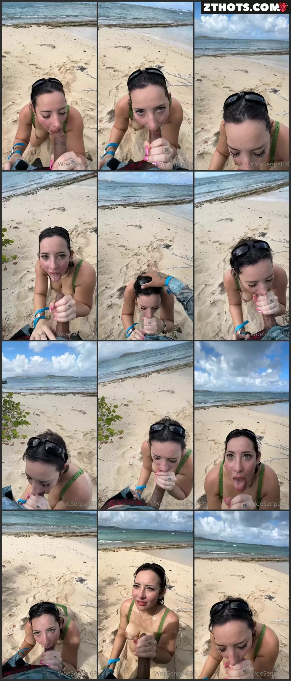 Woesenpai Blowjob At Beach
