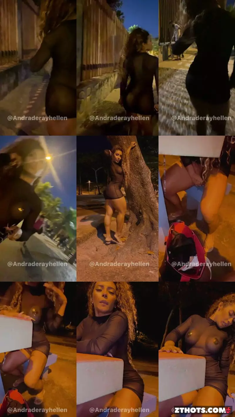 Rayhellenandrade Public Dildo